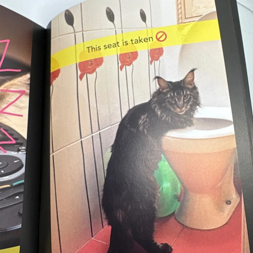 Snapcat Book Rosie Ryder Cats That Love To Snap‎ Chat Photography Humor Book